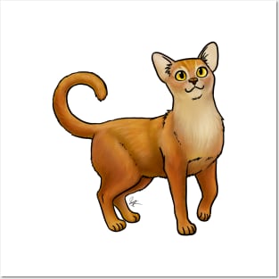 Cat - Abyssinian - Ruddy Posters and Art